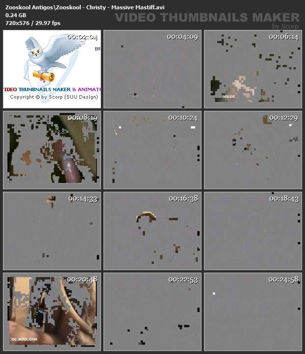 dogbond cachorro gozando Filmes para Download cavalo de pau duro cachorro ejaculando cavalo gozando na mulher Zoosection